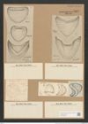 Campylodiscus hibernicus Ehr. (de-Toni-Nr.: Genus 57, Species 2504) Zeichnungen Sammlung Grunow Nr. 5009 (NHMW-BOT-W0373258)